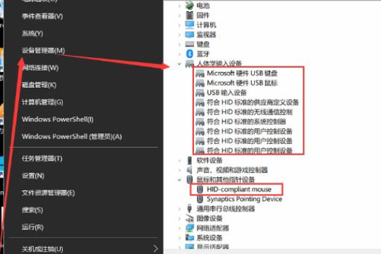 win10鼠标能移动但左右键失灵怎么办(2)