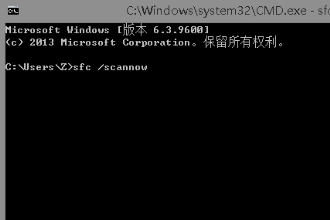 win101903系统更新报错0x80070490怎么解决(1)