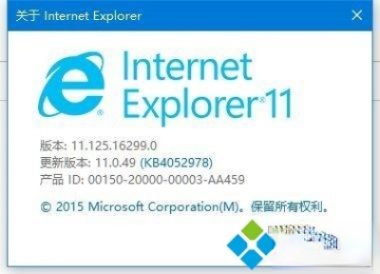 IE浏览器的版本号是多少？Win10系统查看ie浏览器版本号的方法(6)