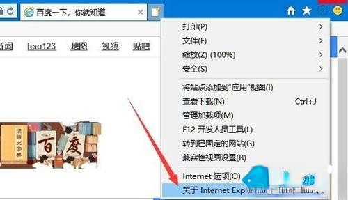 IE浏览器的版本号是多少？Win10系统查看ie浏览器版本号的方法(2)