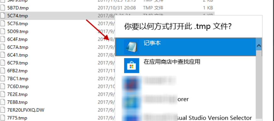 tmp文件怎么打开？win10打开tmp文件的方法(2)