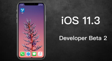 ios11.3如何关闭降频 ios11.3降频设置