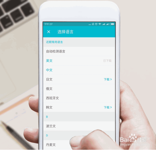 如何使用有道翻译官原图模式进行翻译?