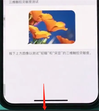 iphonexs开启半屏功能的操作流程