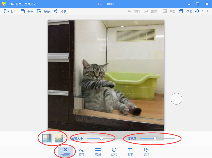 2345看图王怎么打马赛克,2345看图王给图片添加马赛克教程
