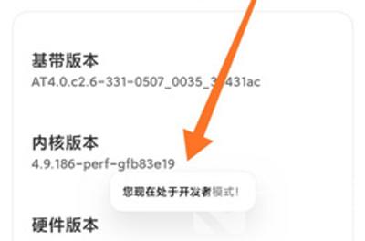 小米12开发者选项怎么打开