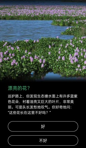 这些花长在这里不好吗