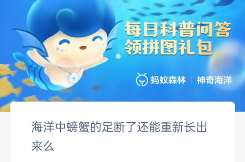 海洋中螃蟹的足断了还能重新长出来么