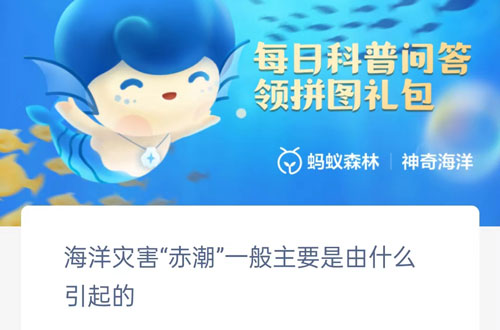 海洋灾害赤潮一般主要是由什么引起的