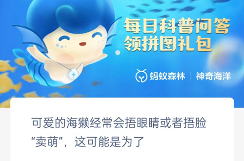 可爱的海獭经常会捂眼睛或者捂脸卖萌这可能是为了