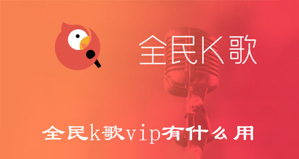 全民k歌vip有什么用