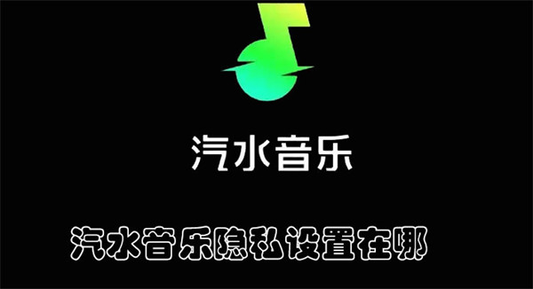 汽水音乐隐私设置在哪