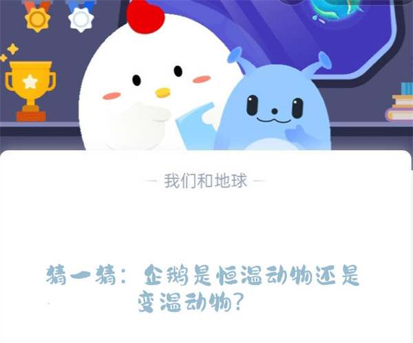 猜一猜：企鹅是恒温动物还是变温动物？蚂蚁庄园6.8日答案