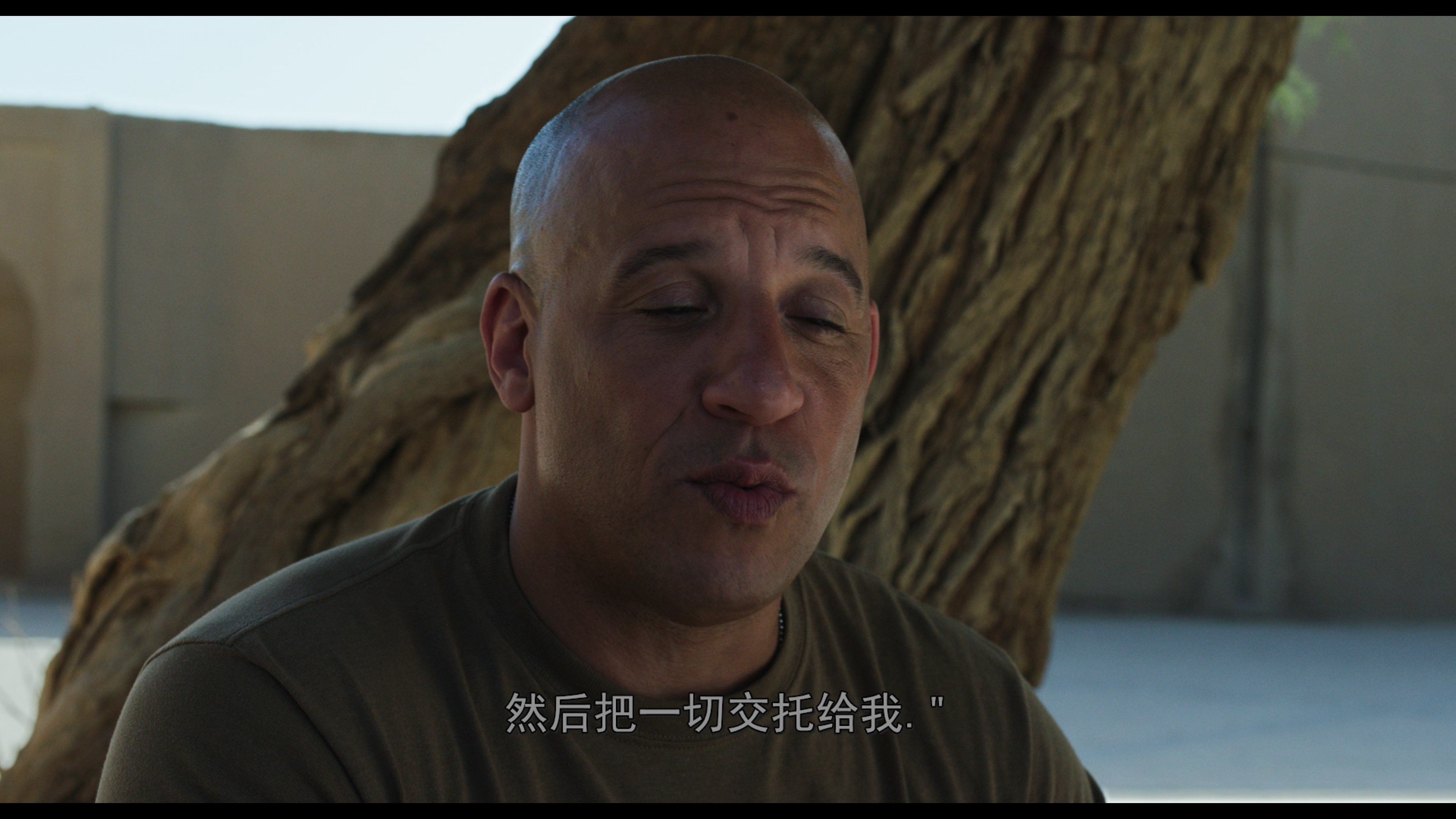 比利·林恩的中场战事/半场无战事 [4K UHD 原盘 国语/中字].Billy.Lynn\'s.Long.Halftime.Walk.2016.UHD.Blu-ray.2160p.HFR.HEVC.Atmos.TrueHD.7.1-TAG 84.41GB-7.jpg