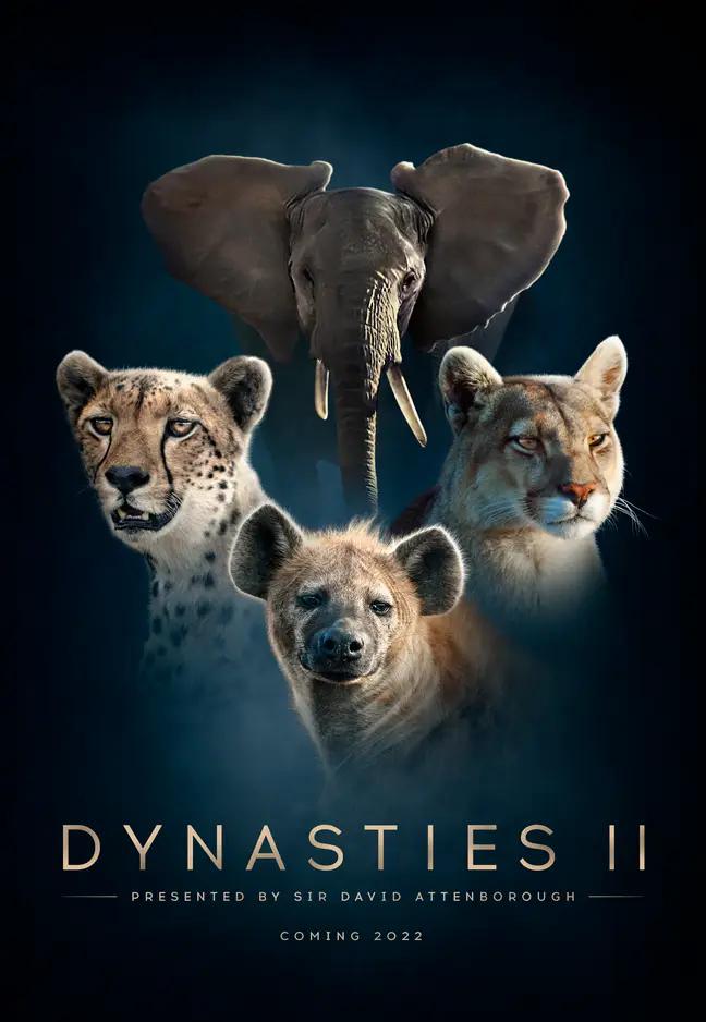 王朝[第二季][全4集][BBC 记载片].Dynasties.S02.2160p.iP.WEB-DL.AAC2.0.HLG.H.265-playWEB 30.35GB-1.jpg