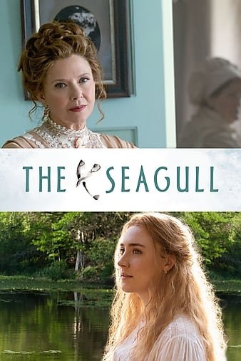 海鸥 The.Seagull.2018.720p.BluRay.X264-AMIABLE 4.37GB-1.jpg