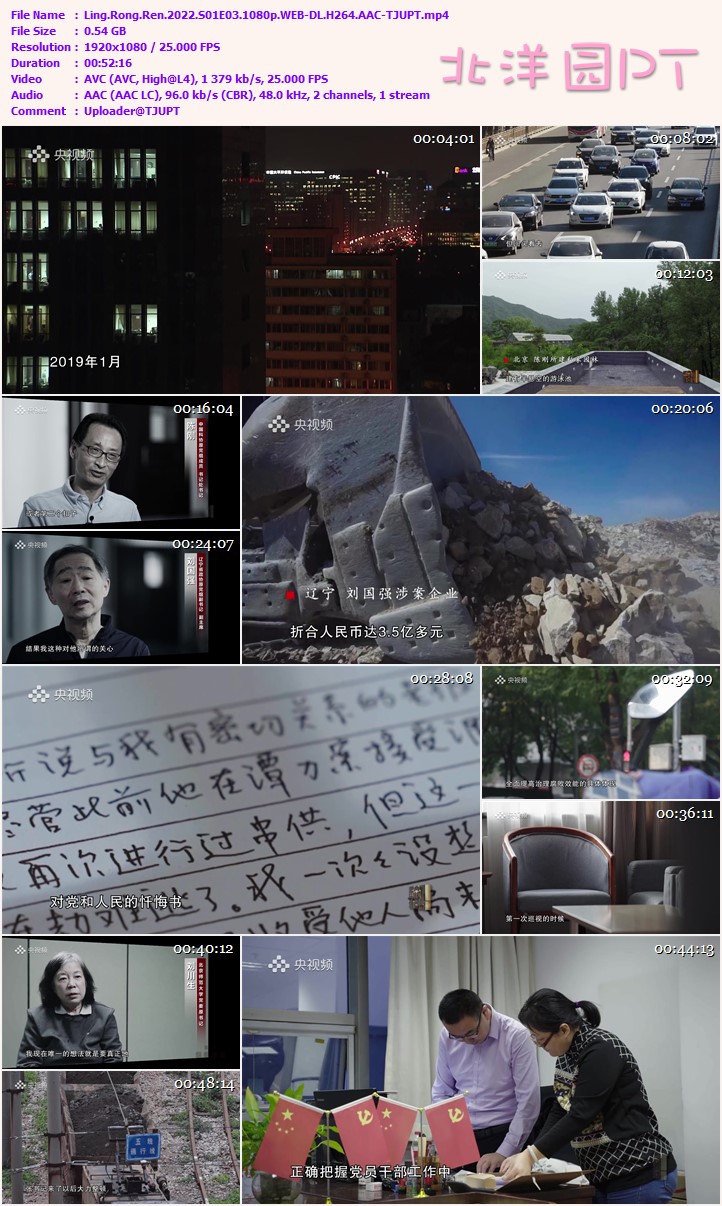 [2022][大陆][记录]零容忍[全五集].Ling.Rong.Ren.2022.S01.1080p.WEB-DL.H264.AAC-TAG 2.77GB-2.jpg