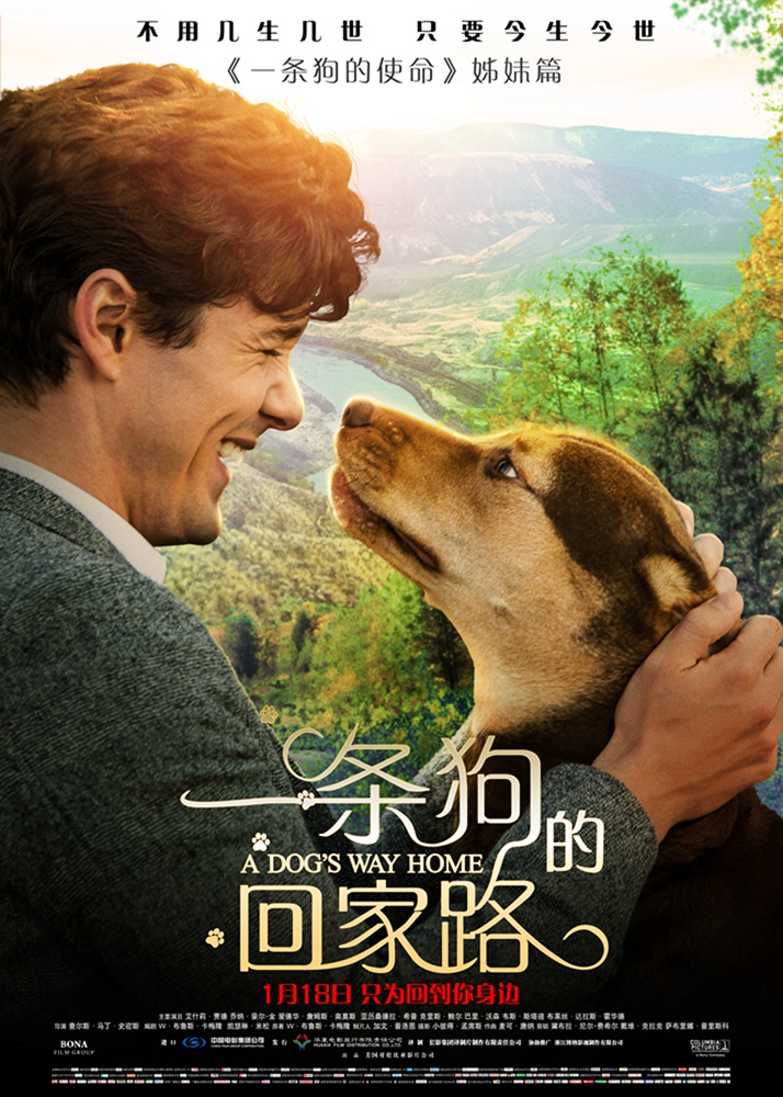 一条狗的回家路 A.Dogs.Way.Home.2019.720p.BluRay.x264-DRONES  4.4GB-1.jpg