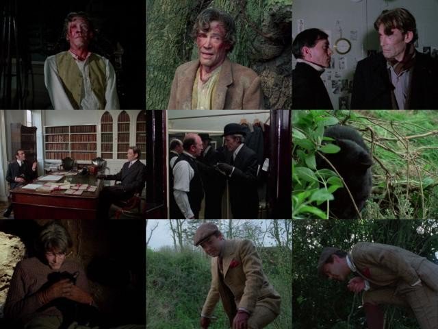 枪杀希特勒 Rogue.Male.1976.720p.BluRay.x264-GHOULS 4.37GB-2.jpg