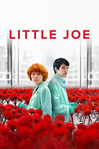 小小乔/小魔花 Little.Joe.2019.720p.BluRay.X264-AMIABLE 3.91GB-1.png