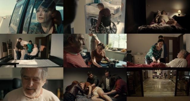 有狗的猫 A.Cat.with.a.Dog.2018.720p.BluRay.x264-SPRiNTER 4.37GB-2.jpg