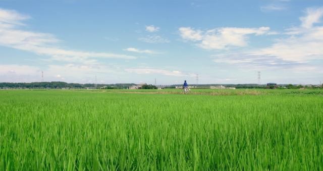 阿谁女孩的俘虏 Anoko.no.Toriko.2018.JAPANESE.720p.BluRay.x264-WiKi 3.80GB-4.jpg