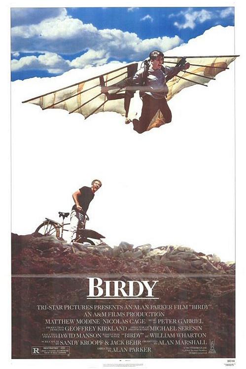 鸟人/鸟孩/追鸟 [英版原盘][DIY国语+简繁+双语字幕].Birdy.1984.1080p.GBR.Blu-ray.AVC.LPCM.2.0-TAG 41.79GB-1.jpg