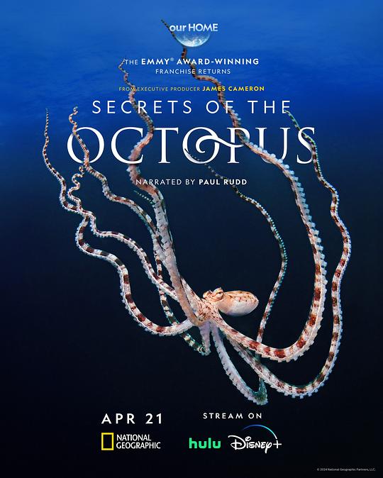 章鱼的秘密[全3集][简繁英字幕].Secrets.of.the.Octopus.S01.2024.1080p.DSNP.WEB-DL.DDP5.1.H264-LelveTV 6.79GB