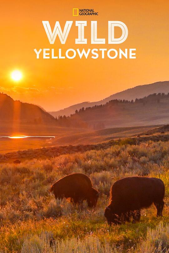 野性黄石公园[第01-2集][简繁英字幕].Wild.Yellowstone.S01.2015.1080p.DSNP.WEB-DL.DDP5.1.H264-LelveTV 5.39GB