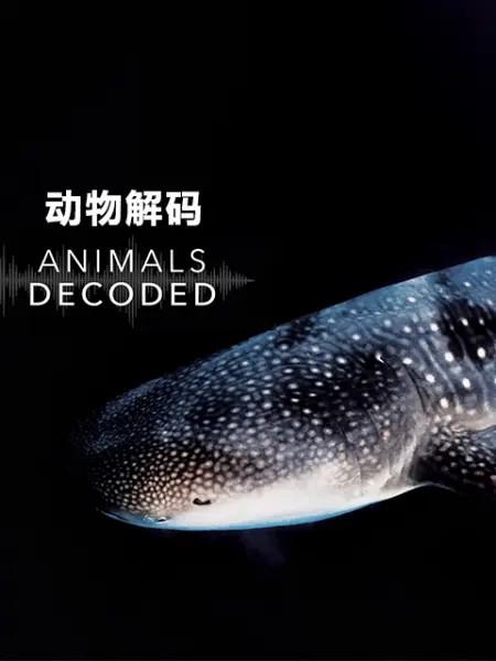 动物解码[全3集][中文字幕].Animals.Decoded.S01.2018.1080p.WEB-DL.H264.AAC-ZeroTV 5.94GB