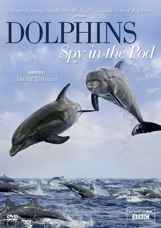 卧底海豚帮[第01-2集][中文字幕].Dolphins.Spy.in.the.Pod.S01.2014.1080p.WEB-DL.H264.AAC-ZeroTV 1.70GB