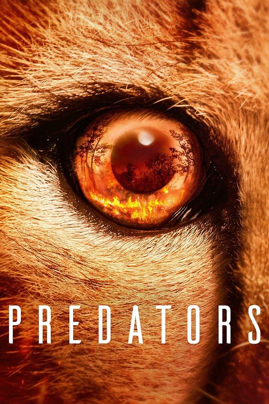 食肉动物[全5集][简繁英字幕].Predators.S01.2022.1080p.NF.WEB-DL.x264.DDP5.1.Atmos-ZeroTV 9.67GB