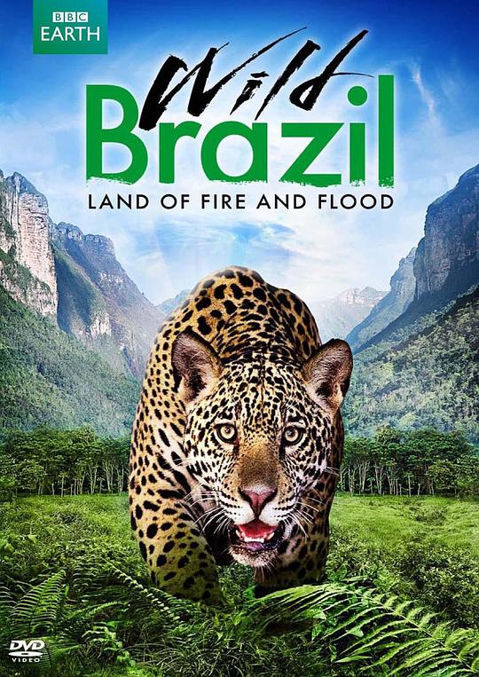 狂野巴西[全3集][中文字幕].Wild.Brazil.S01.2014.1080p.WEB-DL.H264.AAC-ZeroTV 2.58GB