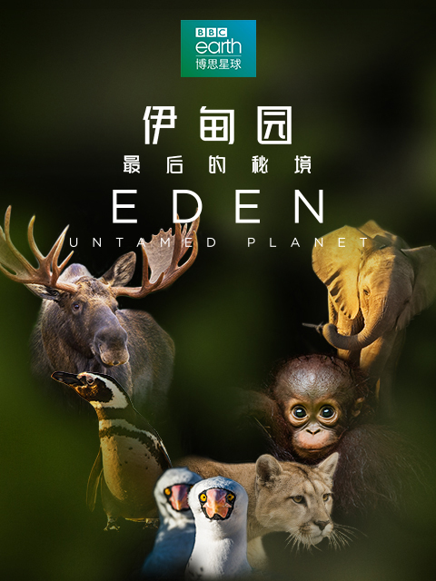 伊甸园：最后的秘境[全6集][中文字幕].Eden.Untamed.Planet.s01.2021.1080p.WEB-DL.H264.AAC-ZeroTV 14.18GB