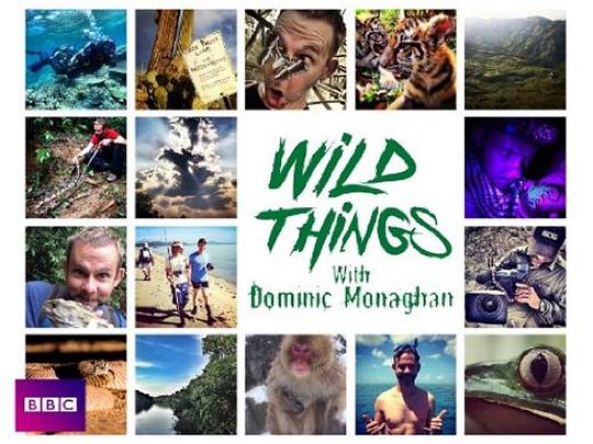 玩命全接触 第二季[全10集][中文字幕].Wild.Things.with.Dominic.Monaghan.S02.2015.1080p.WEB-DL.H264.AAC-ZeroTV 7.56GB