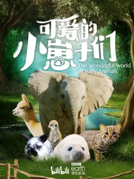 可爱的小崽子们[全6集][中文字幕].The.Wonderful.World.of.Baby.Animals.S01.2019.1080p.WEB-DL.H264.AAC-ZeroTV 9.67GB