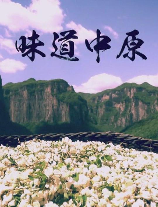 味道中原[全40集][国语配音/中文字幕].Wei.Dao.Zhong.Yuan.S01.2017.1080p.WEB-DL.H264.AAC-ZeroTV 14.41GB