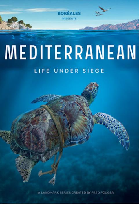 地中海[全6集][中文字幕].Mediterranean.Life.Under.Siege.S01.2022.1080p.WEB-DL.H264.AAC-ZeroTV 9.38GB