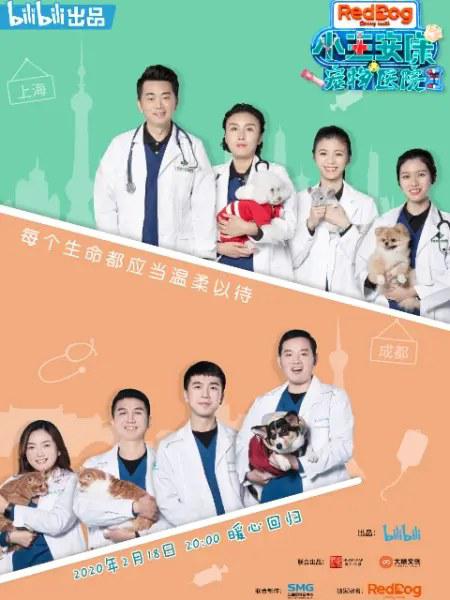 小主安康－宠物医院2[全8集][国语配音/中文字幕].Animal.Hospital.S02.2020.1080p.WEB-DL.H264.AAC-ZeroTV 4.81GB