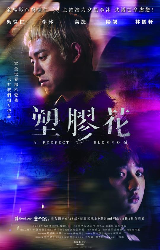 塑胶花[全10集][中文字幕].A.Perfect.Blossom.S01.1080p.HamiVideo.WEB-DL.AAC2.0.H.264-BlackTV 19.89GB