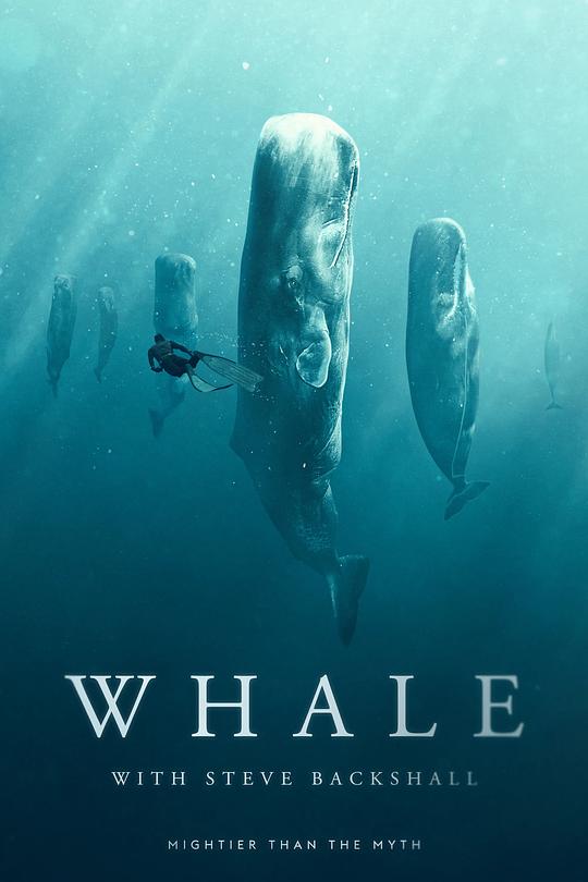 Whale with Steve Backshall Season 1[全4集][中文字幕].2023.1080p.WEB-DL.H264.AAC-ZeroTV 6.89GB