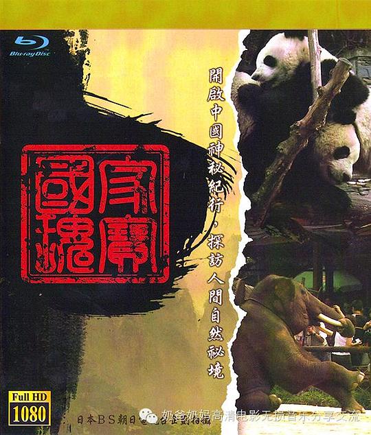 中国神秘纪行[第01-12集][中文字幕].Mysterious.Notes.From.China.S01.2010.Bluray.1080p.LPCM2.0.x265.10b