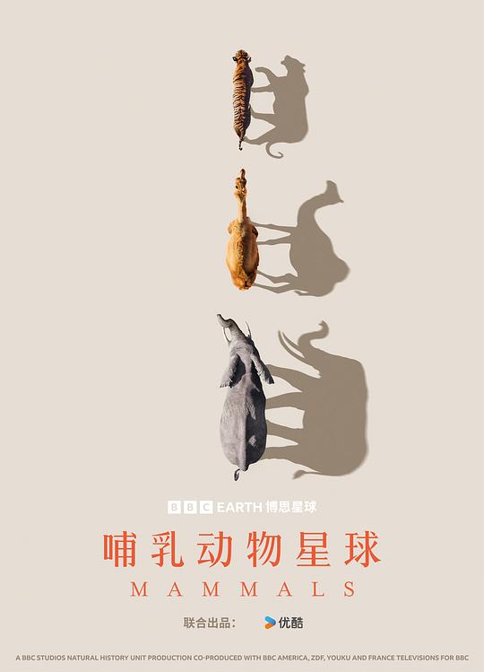 哺乳动物星球[全6集][无字片源].Mammals.S01.1080p.MyVideo.WEB-DL.AAC.2.0.H.264-BlackTV 11.08GB