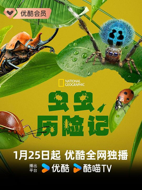 虫虫历险记[全5集][中文字幕].A.Real.Bugs.Life.S01.2160p.DSNP.WEB-DL.DDP.5.1.Atmos.HDR10.H.265-BlackTV