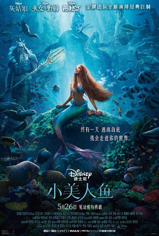 小美人鱼[国英多音轨/简繁英特效字幕].The.Little.Mermaid.2023.V2.BluRay.Remux.AVC.1080p.DTS-HDMA7.1-DreamHD 33.32GB