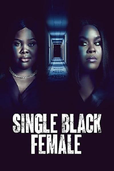 Single Black Female[中文字幕].Single.Black.Female.2022.1080p.WEB-DL.AAC.H264-ParkHD 2.23GB