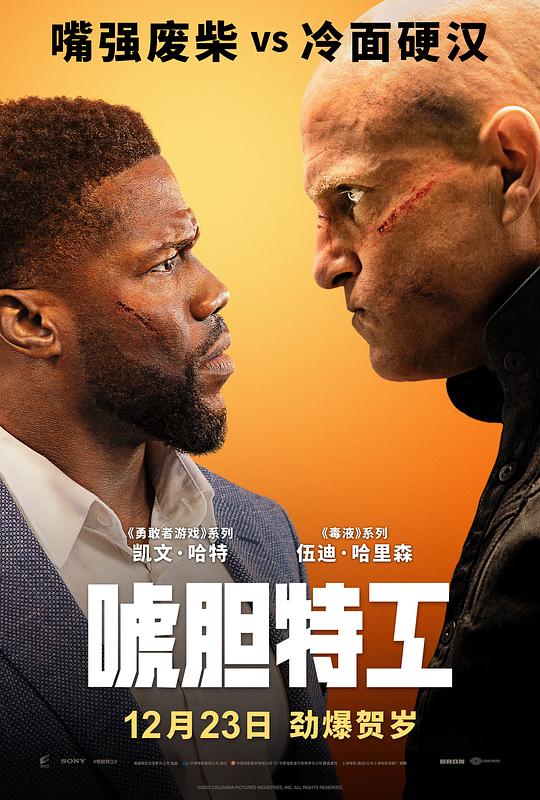 唬胆特工[中文字幕].The.Man.from.Toronto.2022.BluRay.REMUX.1080p.AVC.DTS-HD.MA5.1-DreamHD 23.32GB