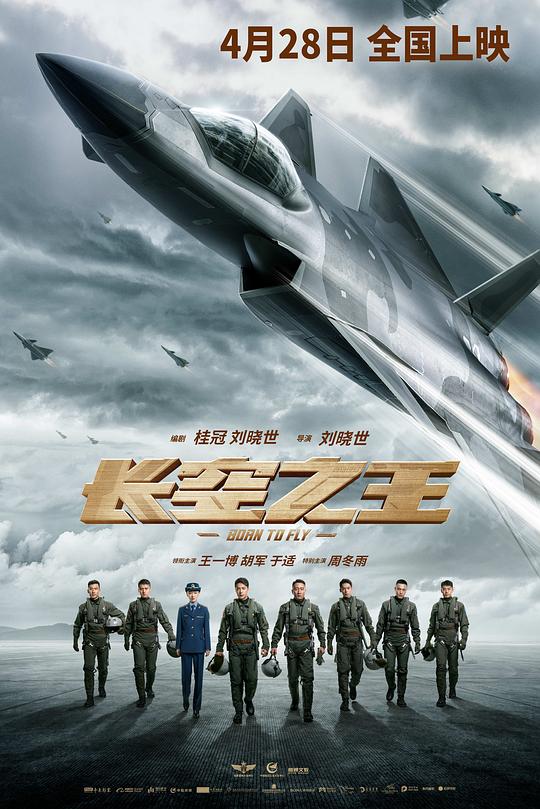 长空之王[国语音轨/中文字幕].Born.to.Fly.2023.BluRay.REMUX.1080p.AVC.TrueHD5.1-DreamHD 36.68GB