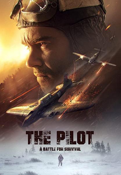 飞行员[国语配音/中文字幕].The.Pilot.A.Battle.for.Survival.2021.BluRay.REMUX.1080p.AVC.DTS-HD.MA5.1-DreamHD 15.9