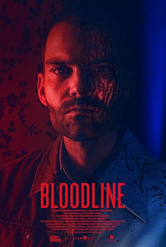 血亲[简繁英字幕].Bloodline.2018.1080p.BluRay.x265.10bit.DTS-SONYHD 5.55GB